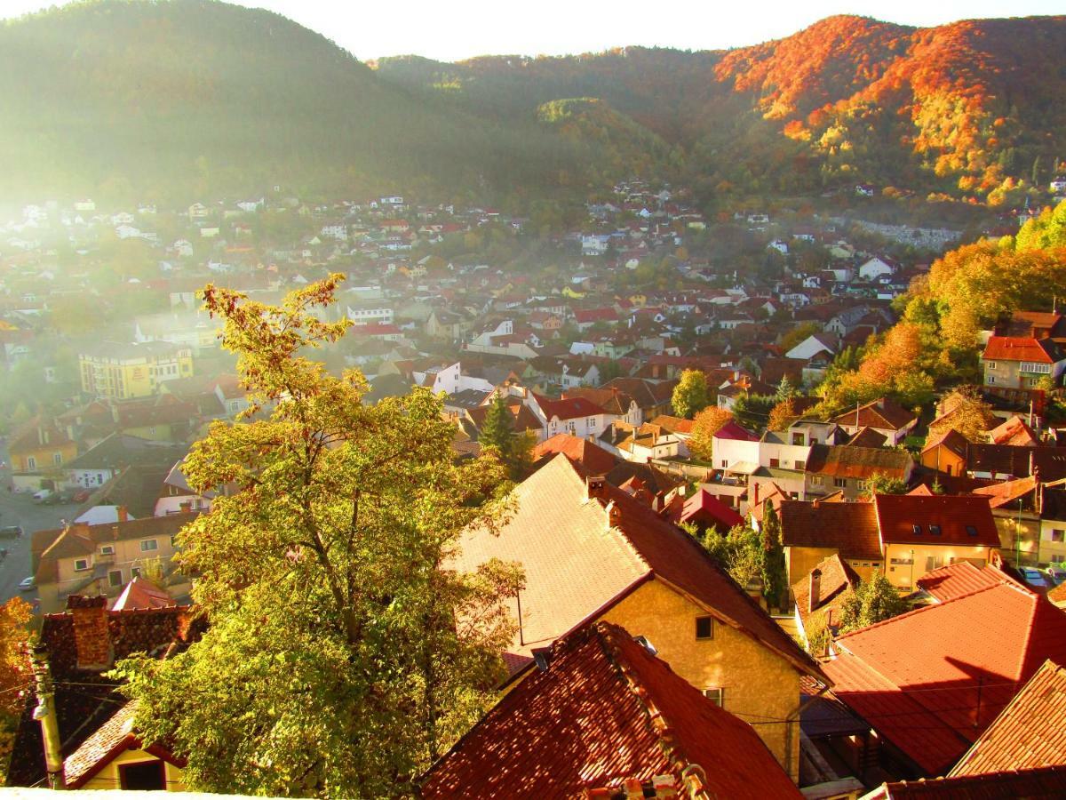 Vila Paul Best Paronamic View Over Medieval Historical Centre Brasov Braşov Exterior foto